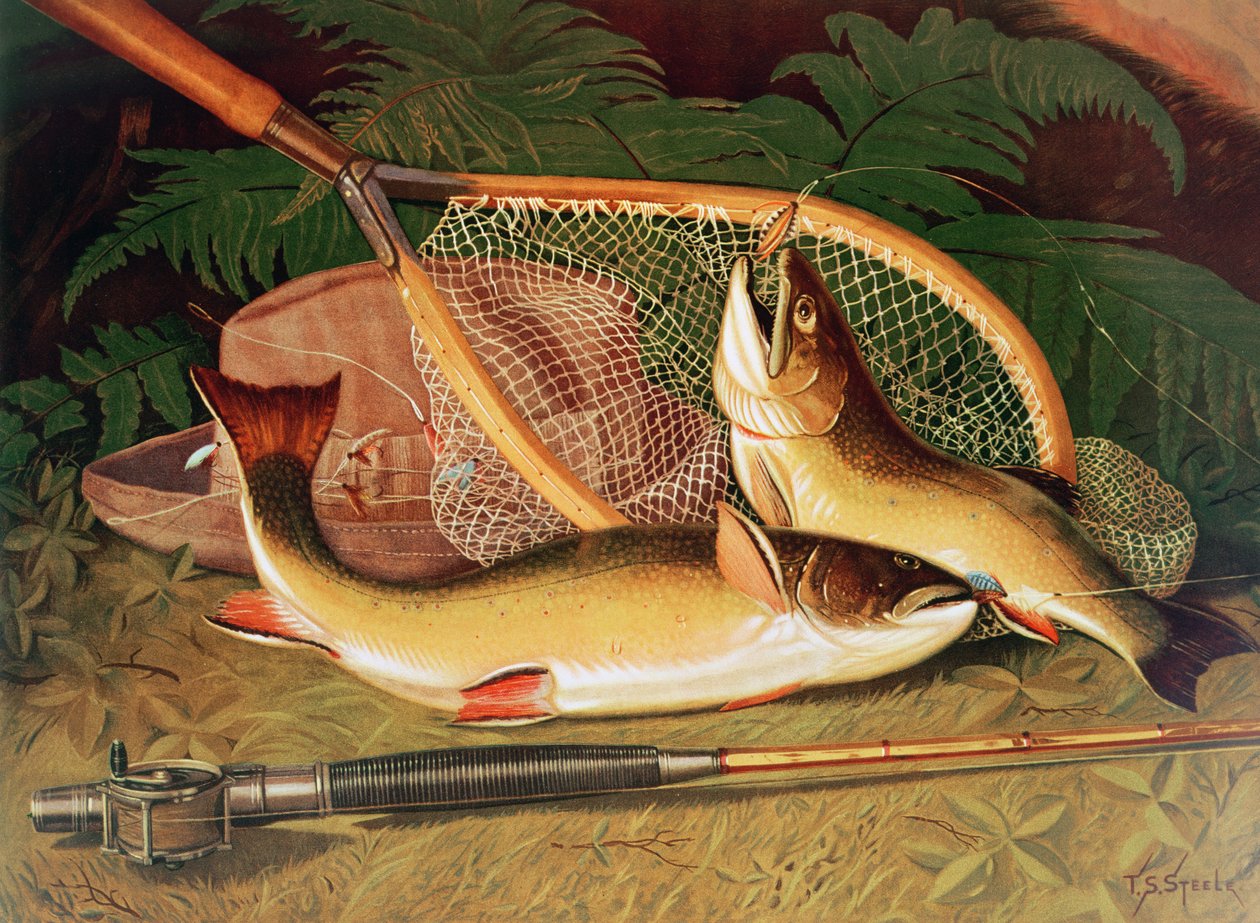 Naturaleza muerta con una trucha de salmón, una caña y una red de Thomas Sedgwick Steele