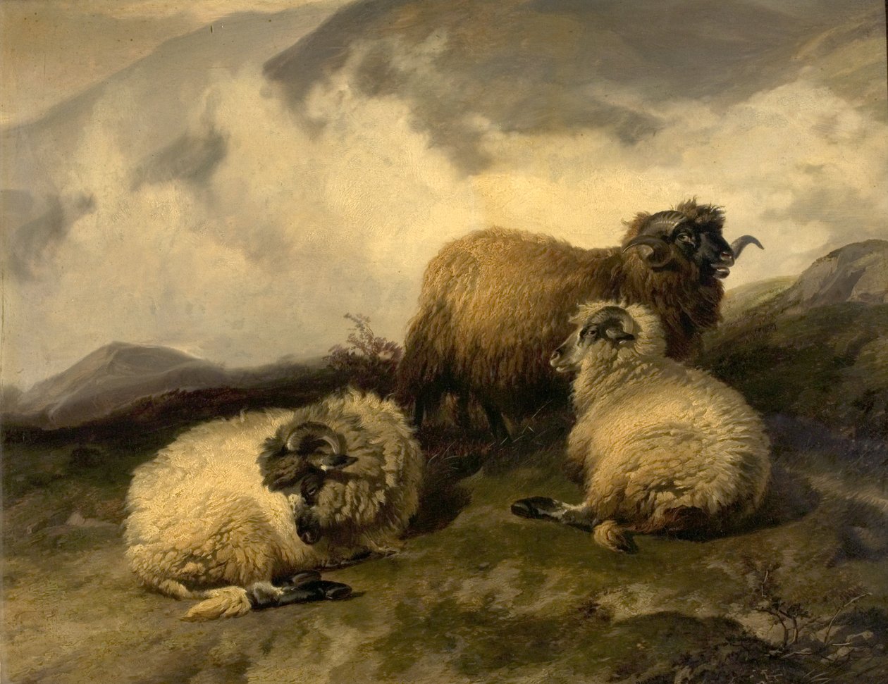 Ovejas de montaña (Despejando la niebla matutina) 1846 de Thomas Sidney Cooper