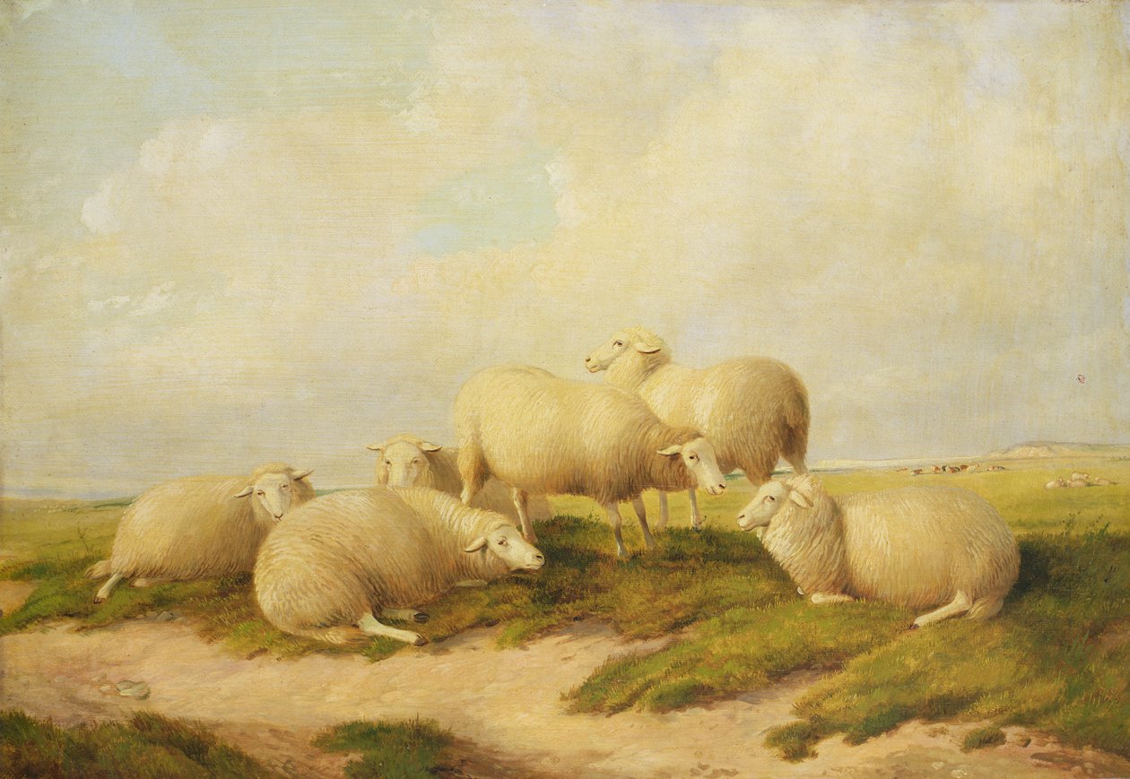 Ovejas de Thomas Sidney Cooper