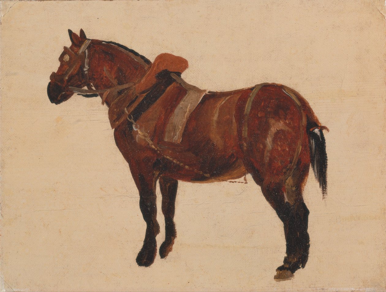 Estudio de un caballo de trabajo de Thomas Sidney Cooper