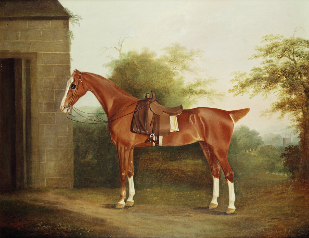 Caballo con silla de montar lateral de Thomas Weaver