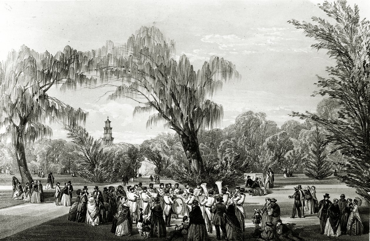 Jardines Botánicos, Ciudad del Cabo, impresión hecha por W. Simpson, c.1850s de Thomas William Bowler