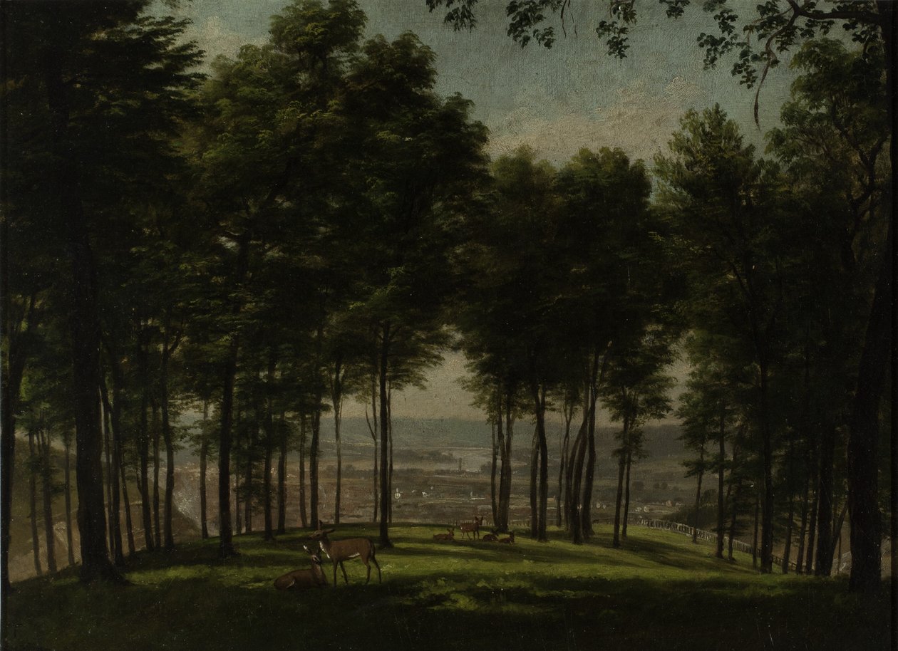 Parque Mount Storm, Cincinnati, 1840 de Thomas Worthington Whittredge