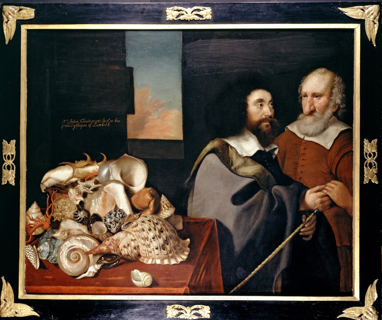 John Tradescant el Joven con Roger Friend y una colección de conchas exóticas, 1645 de Thomas de Critz