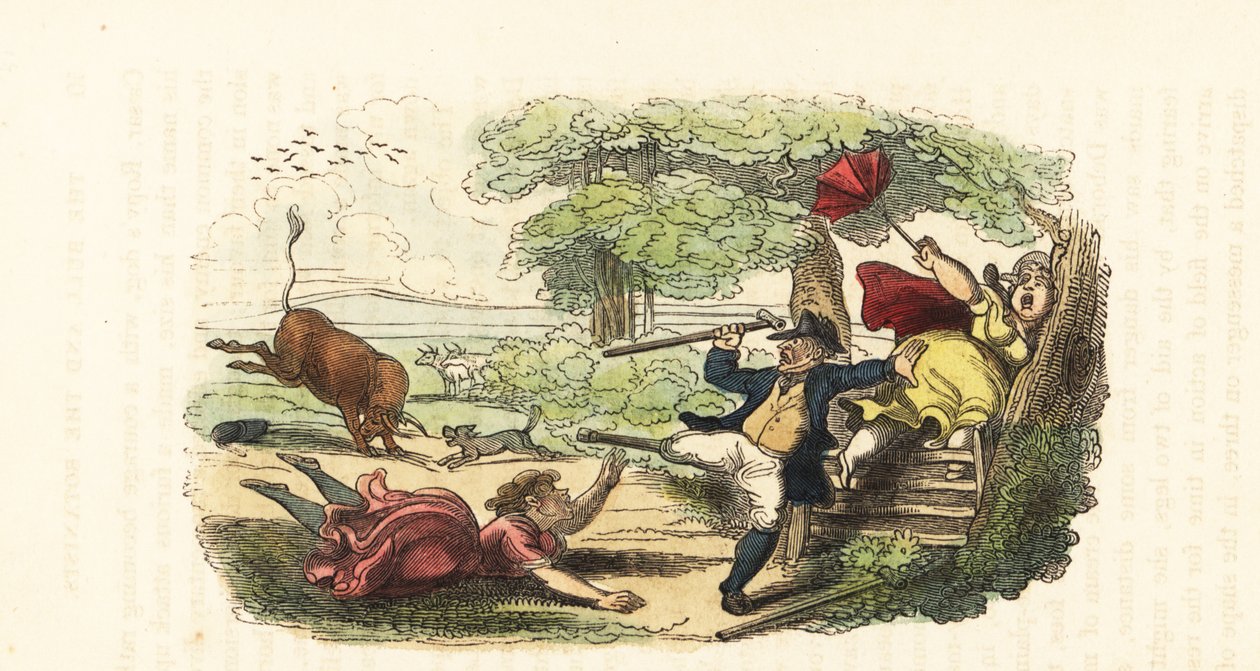 Una familia de botánicos atacada por un toro de carga en un campo. ,1831 (grabado) de Thomas (after) Rowlandson