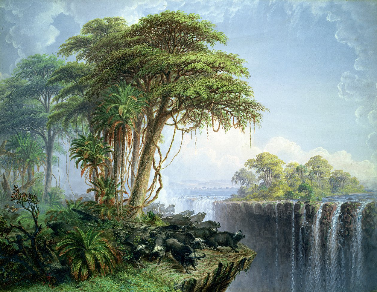 Imagen desconocida de Thomas Baines