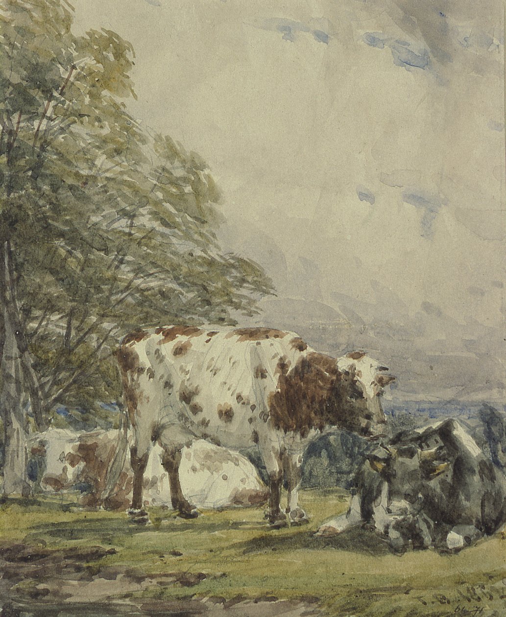 Estudio de ganado, siglo XIX de Thomas Baker