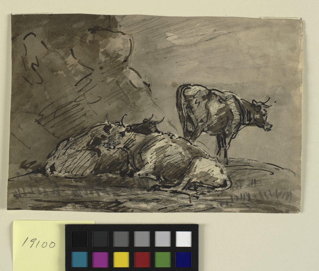 Tres vacas en un acantilado de Thomas Barker