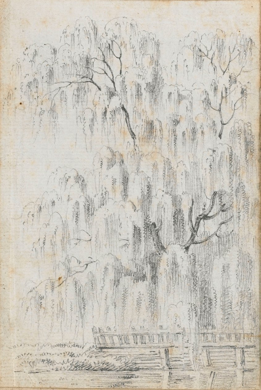 Estudio de un árbol sobre el agua en Merton (anverso) de Thomas Baxter