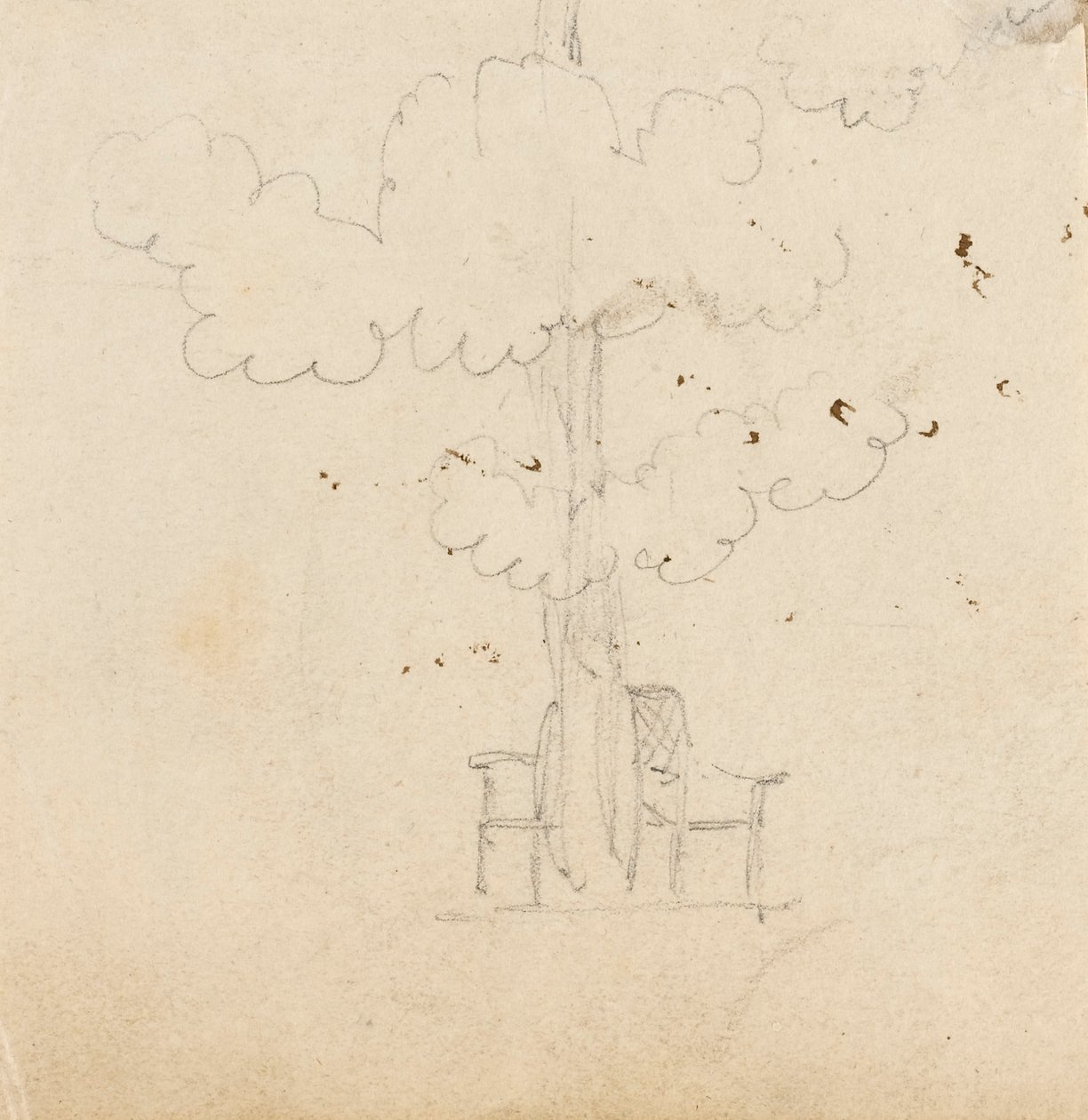 Estudio de un árbol con dos sillas a cada lado del tronco de Thomas Baxter