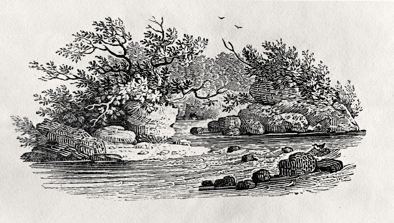 Un recodo en el río, de 