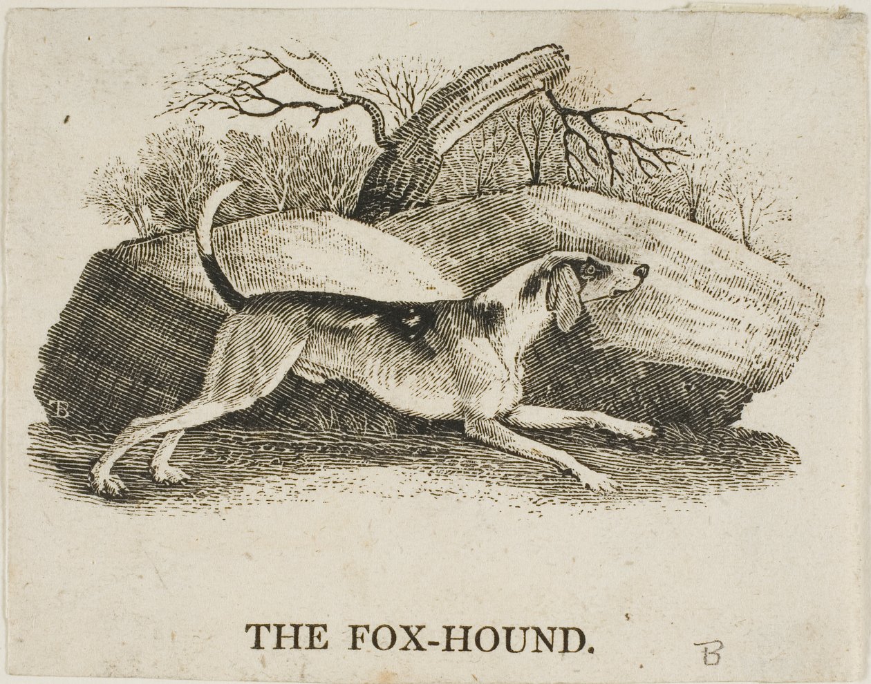 Perro de caza de Thomas Bewick