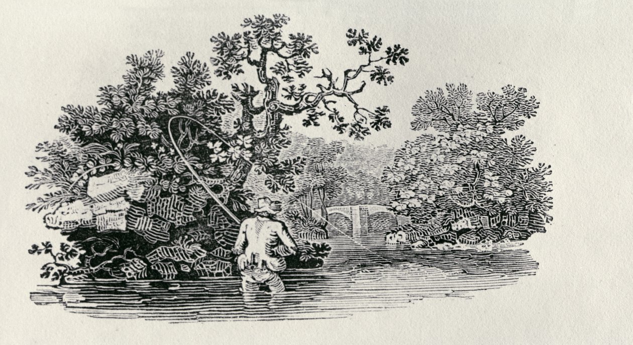 Pescando un salmón de 