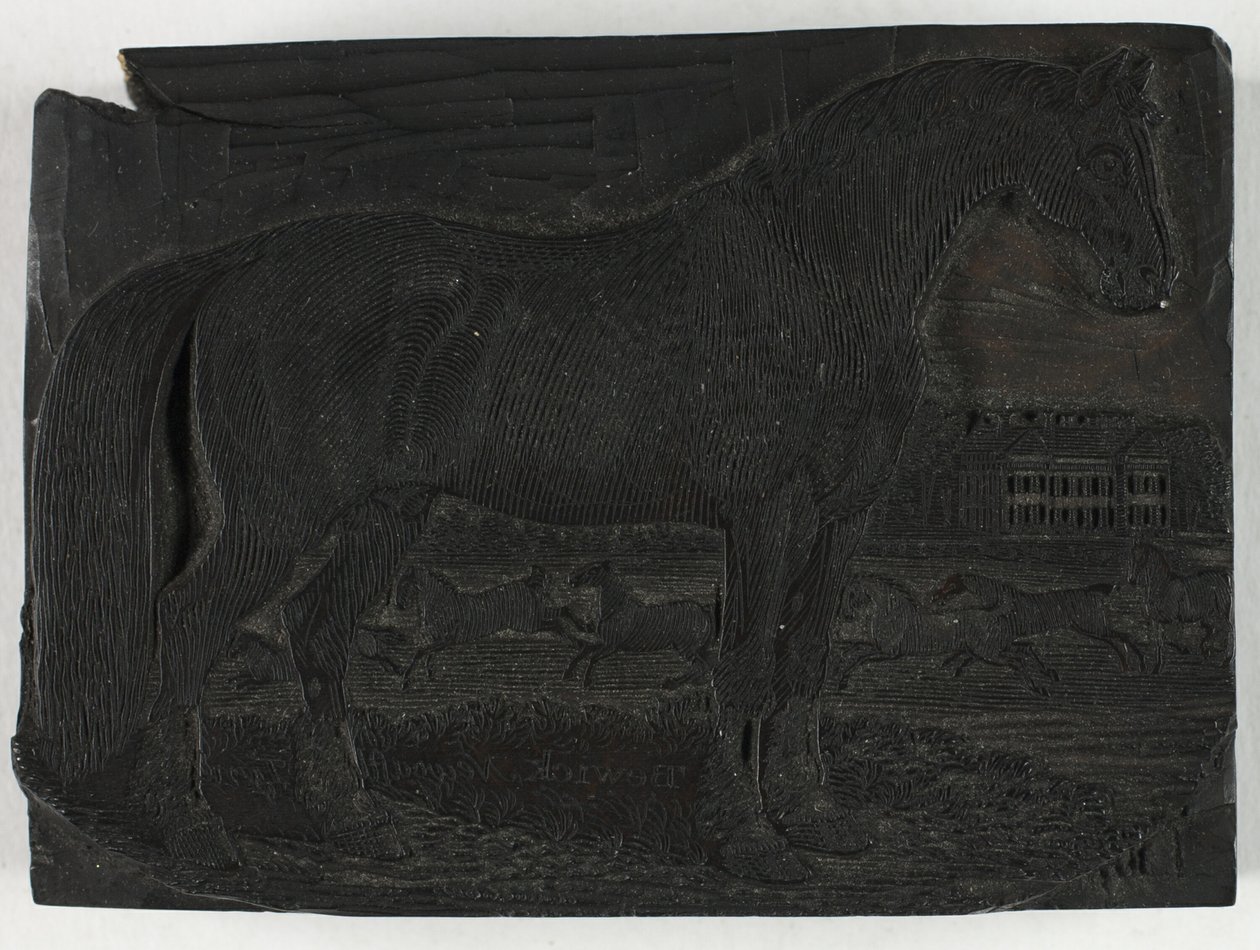 Bloque de madera para El caballo negro, de una Historia general de los cuadrúpedos de Thomas Bewick