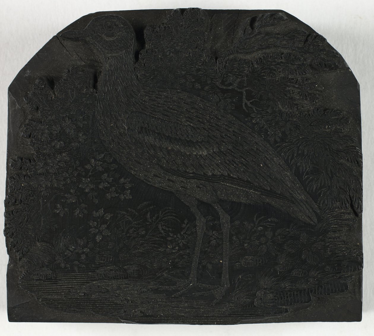 Bloque de madera para El gran chorlito, de Una historia de las aves británicas de Thomas Bewick