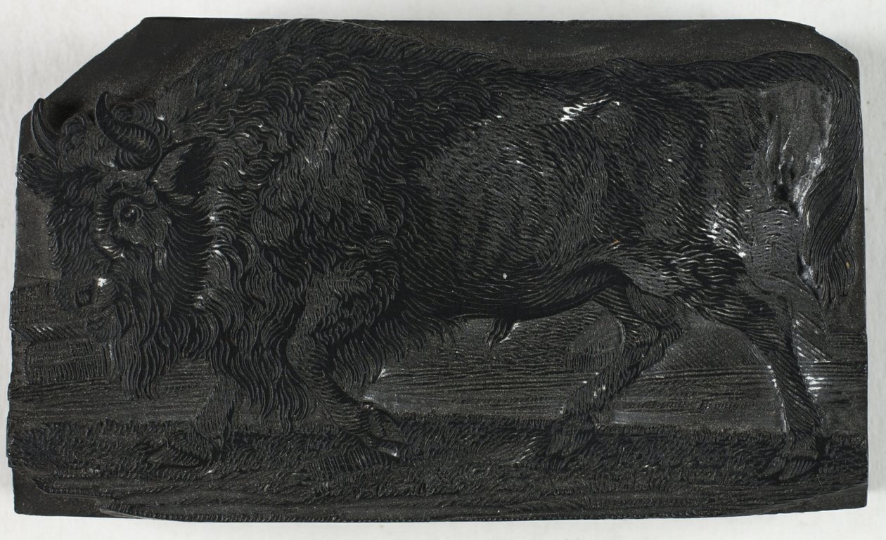 Bloque de Madera para El Uro o Toro Salvaje, de Una Historia General de los Cuadrúpedos de Thomas Bewick