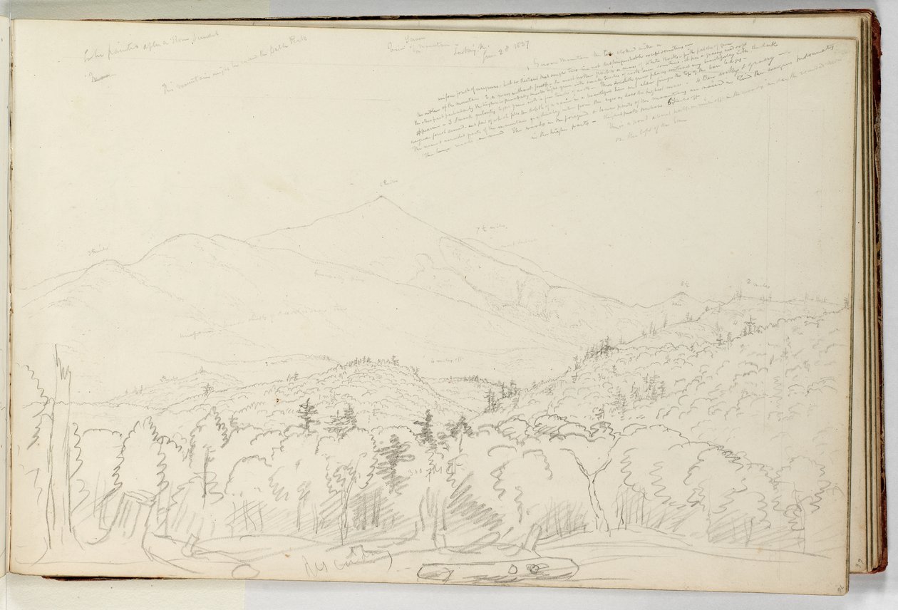 Vista de la Montaña Schroon mirando al norte 28 de junio de Thomas Cole