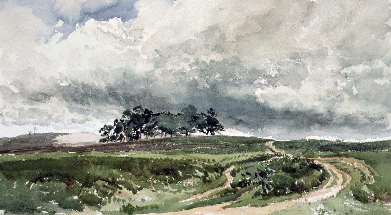 Una escena de brezal de Thomas Collier