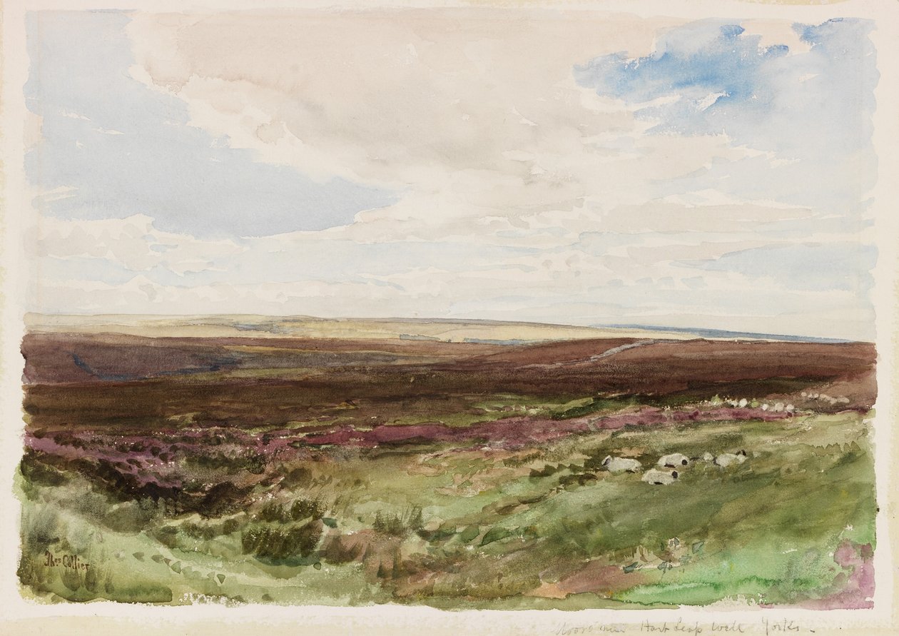 Páramo cerca de Hart Leap Well, Yorkshire de Thomas Collier