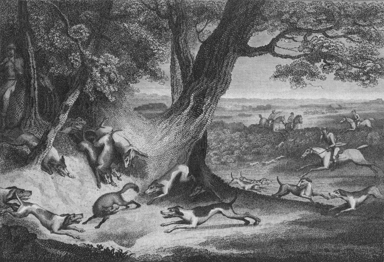 Muerte del Zorro, 1793 de Thomas Cook