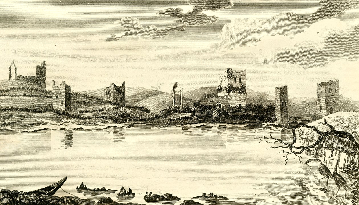 Vista norte de las ruinas de Clomines, Co. Wexford, 1791 de Thomas Cook