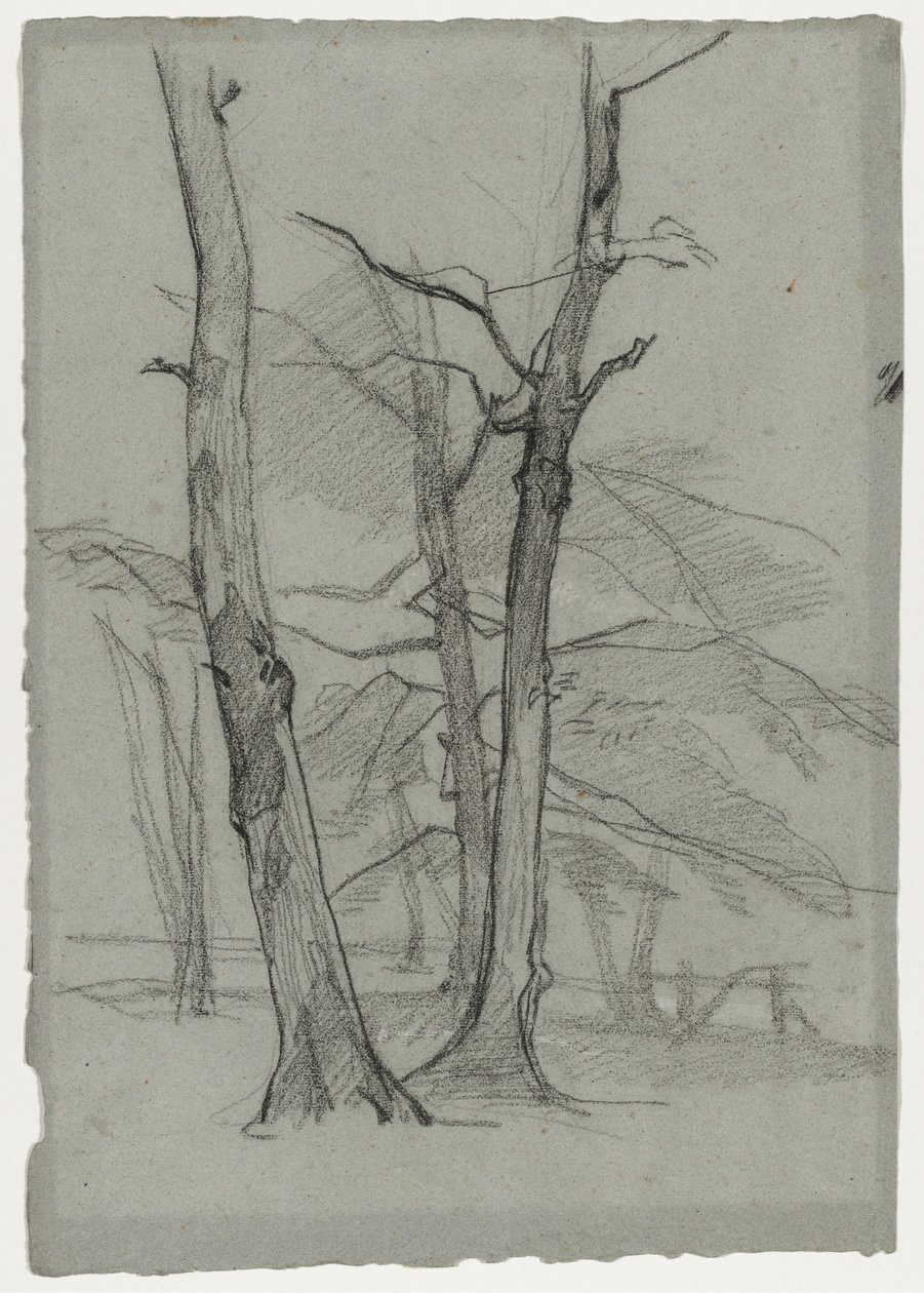 Landscape Study with Trees de Thomas Couture