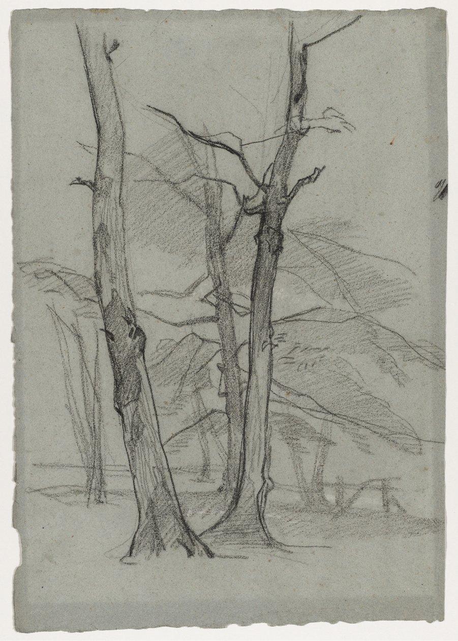 Estudio de paisaje con árboles, c. 1870-1875 de Thomas Couture