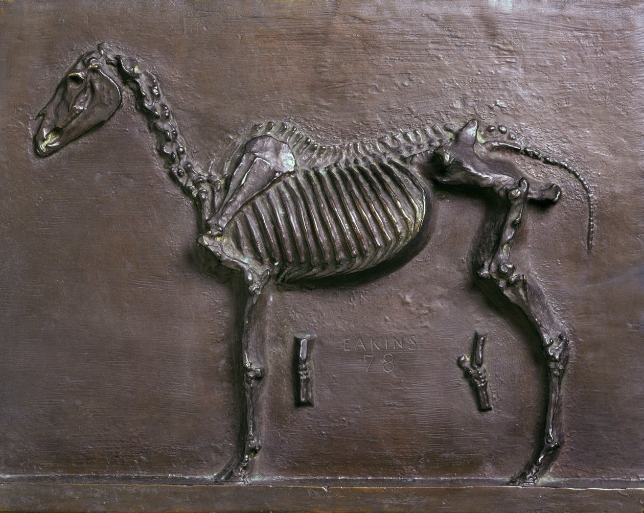 Esqueleto de caballo de Thomas Cowperthwait Eakins