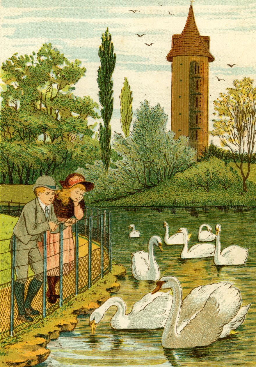 Zoológico de París - niños viendo cisnes de Thomas Crane