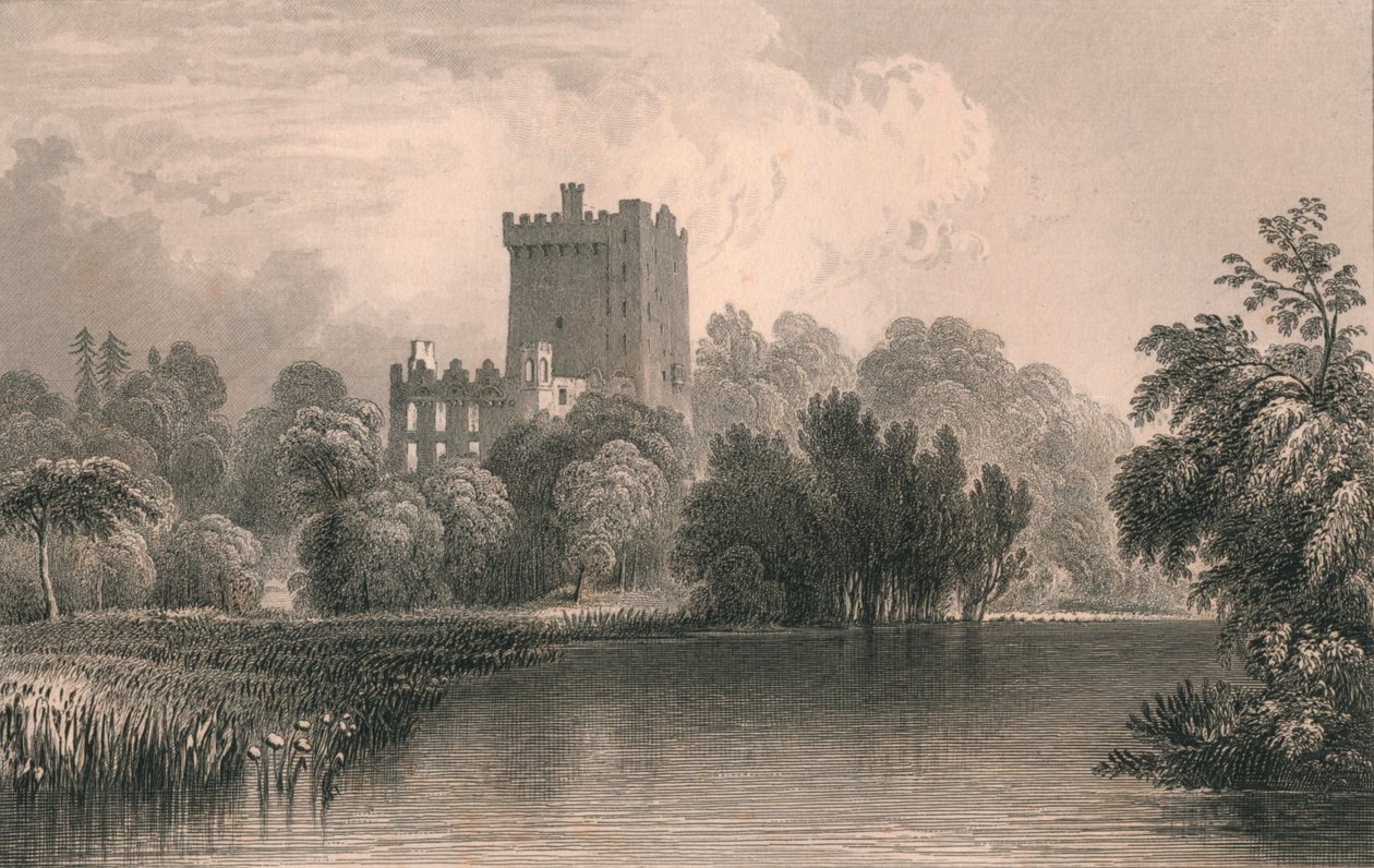Castillo de Blarney, Co. Cork, 1831 de Thomas Dixon