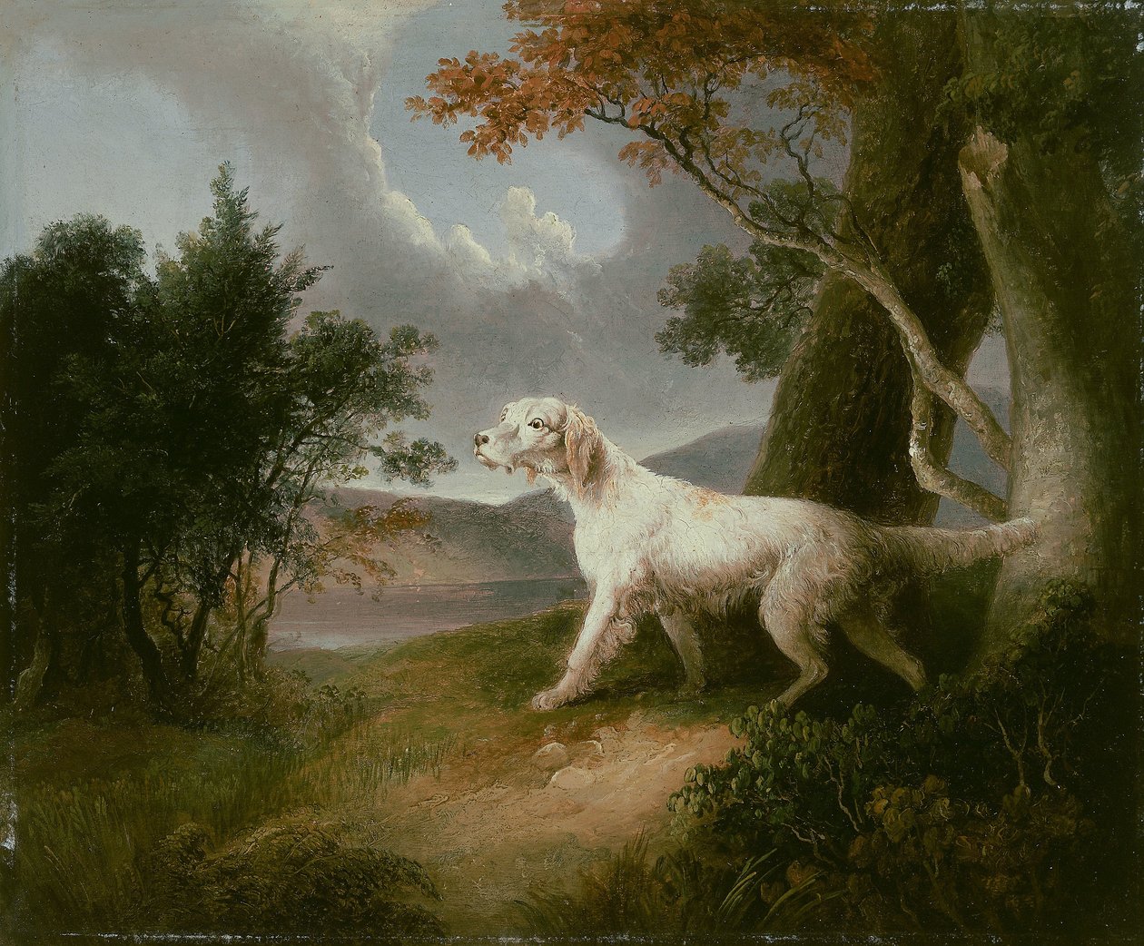 Paisaje con perro de Thomas Doughty