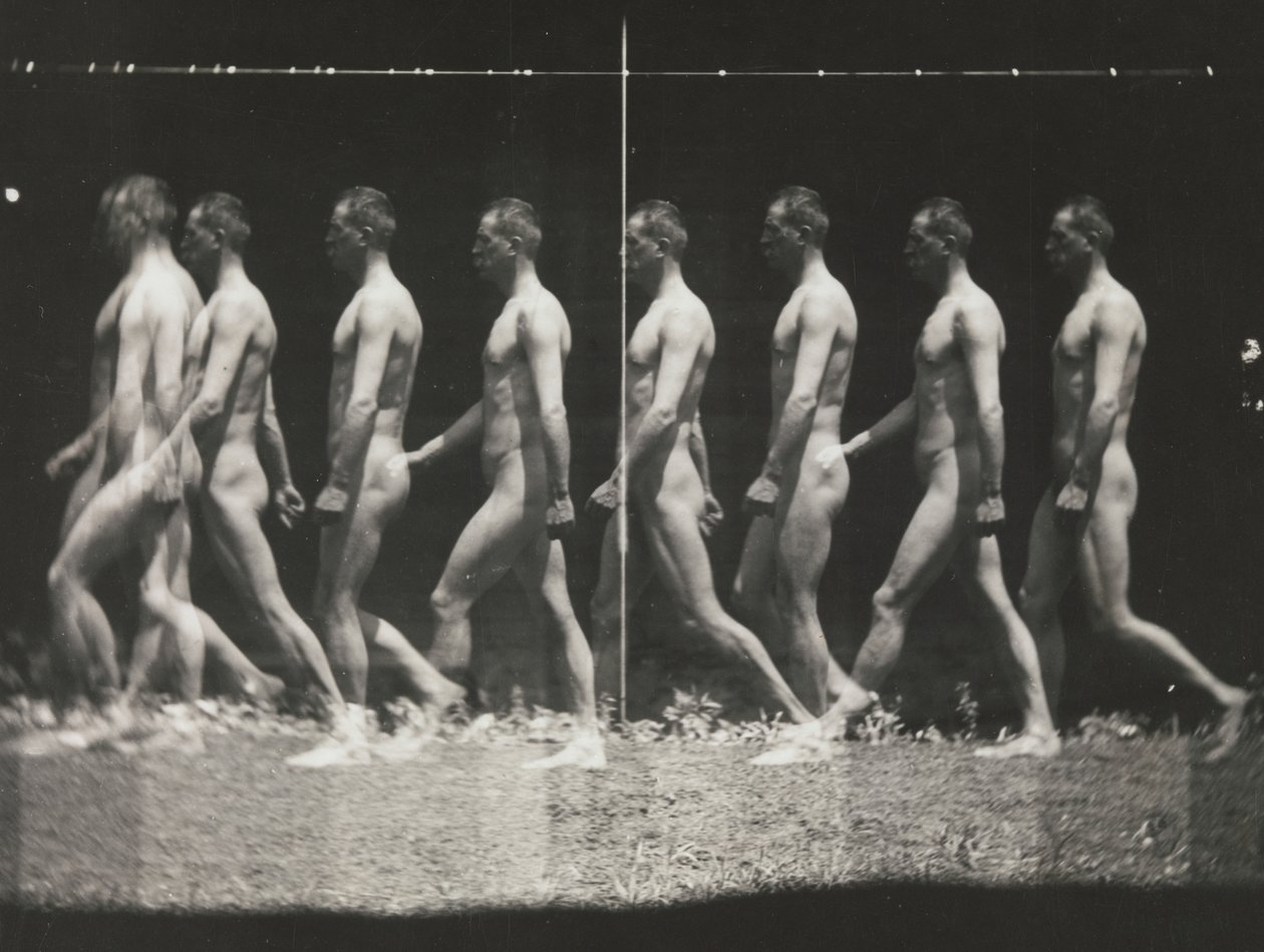[Hombre caminando, fotografía estroboscópica], 1880s, impresa 1930s-40s de Thomas Eakins