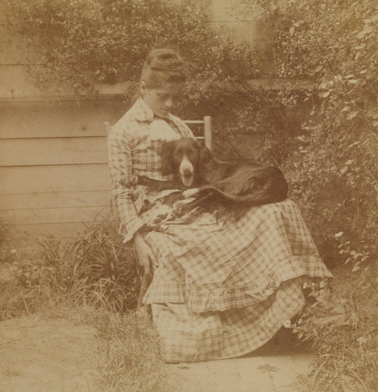 [Susan Macdowell (más tarde, la señora de Thomas Eakins) con un setter] de Thomas Eakins