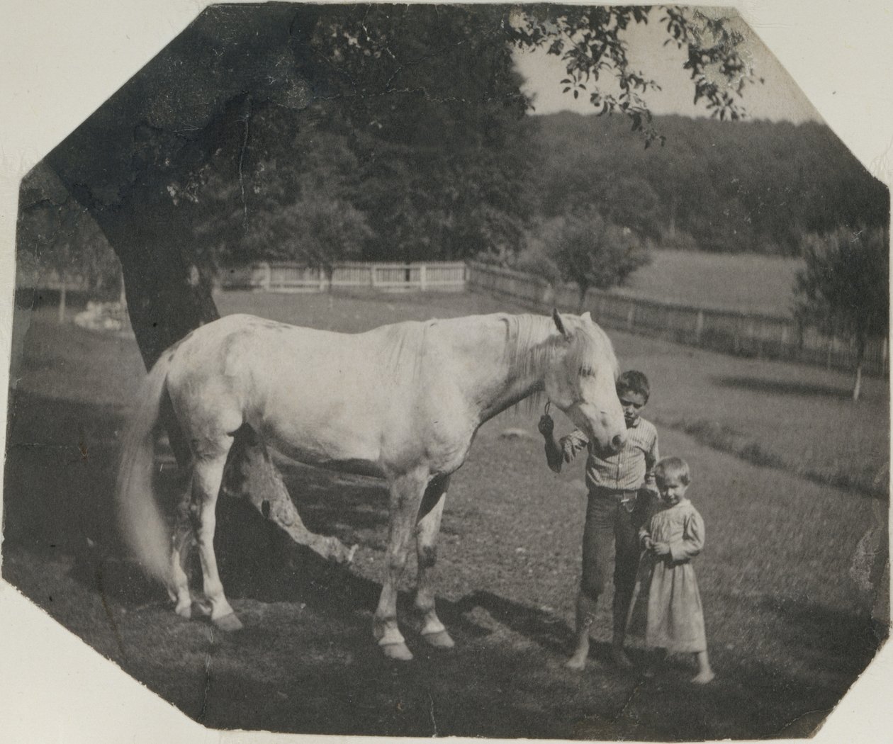 [El caballo Billy de Thomas Eakins y dos niños Crowell en Avondale, Pensilvania] de Thomas Eakins