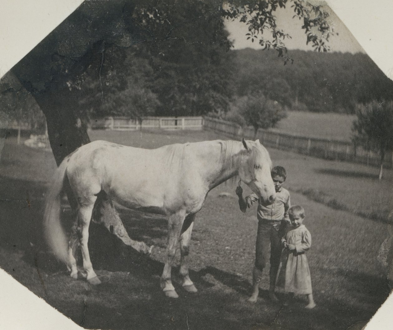El caballo Billy de Thomas Eakins y dos niños Crowell en Avondale, Pensilvania, ca. 1892 de Thomas Eakins
