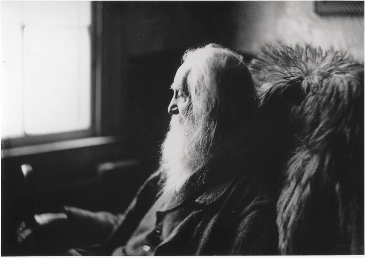 Walt Whitman en Camden, Nueva Jersey. de Thomas Eakins
