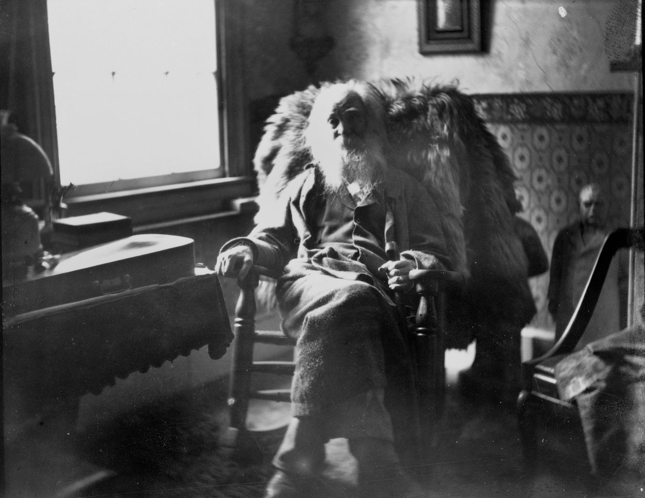 Walt Whitman en Camden, Nueva Jersey. de Thomas Eakins