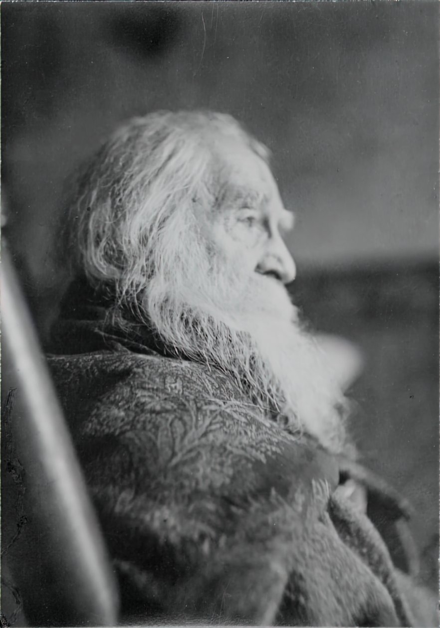 Walt Whitman en Camden, N.J. de Thomas Eakins