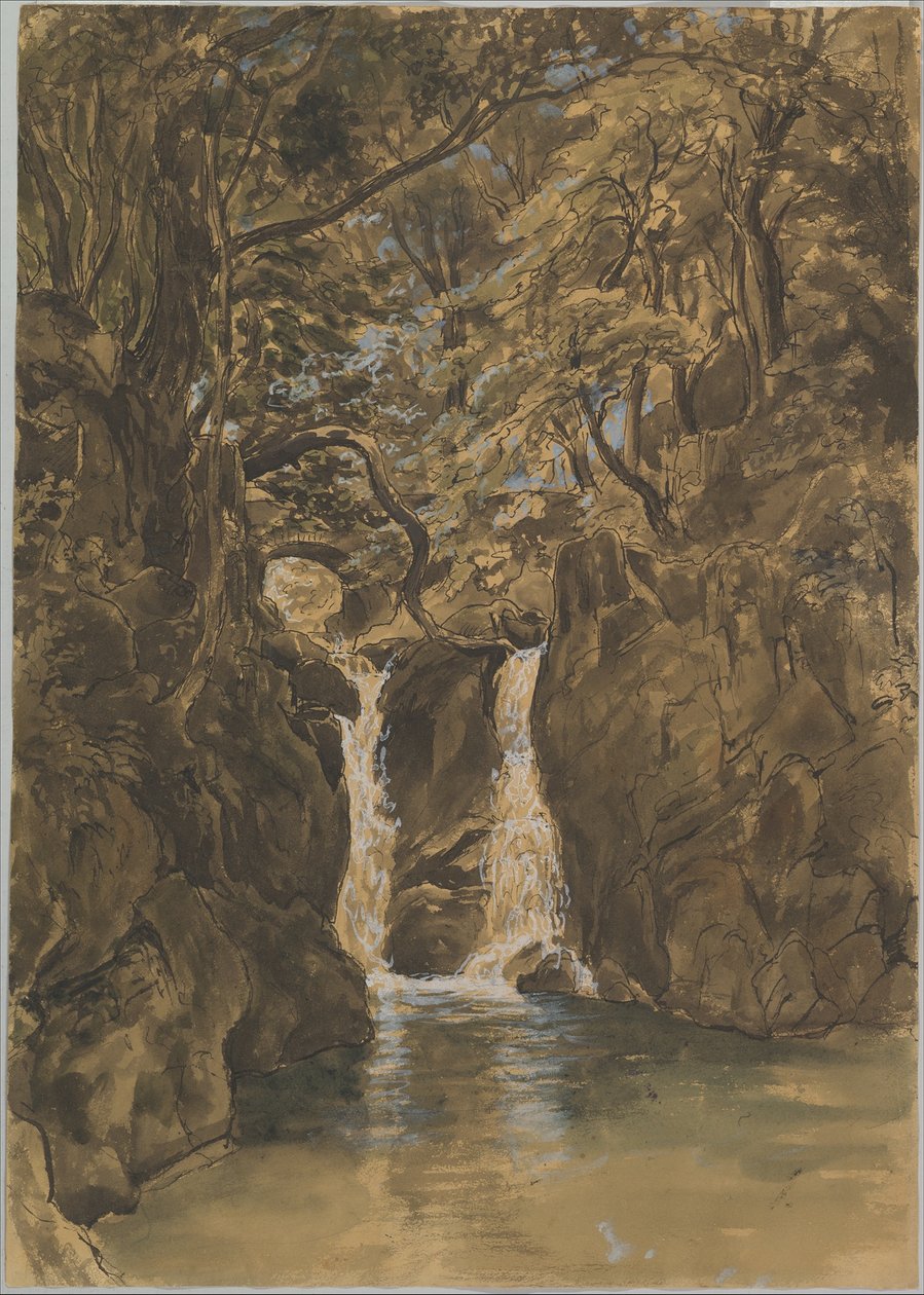 Vista de las cataratas inferiores de Rydal, Cumbria de Thomas Fearnley