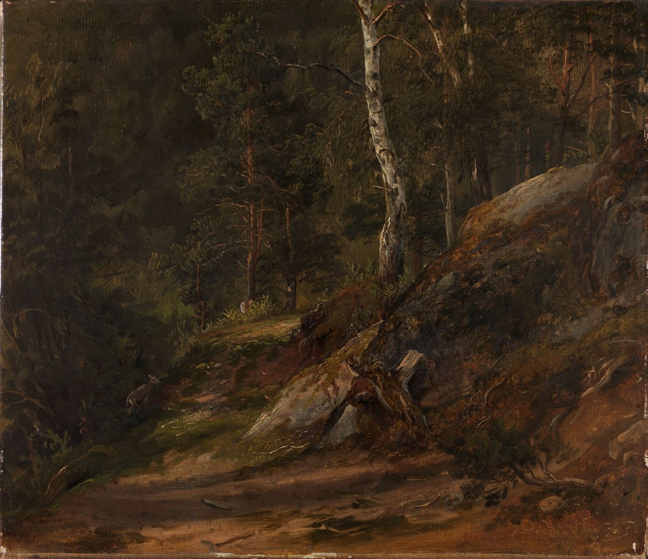 Estudio forestal de Romsdal de Thomas Fearnley