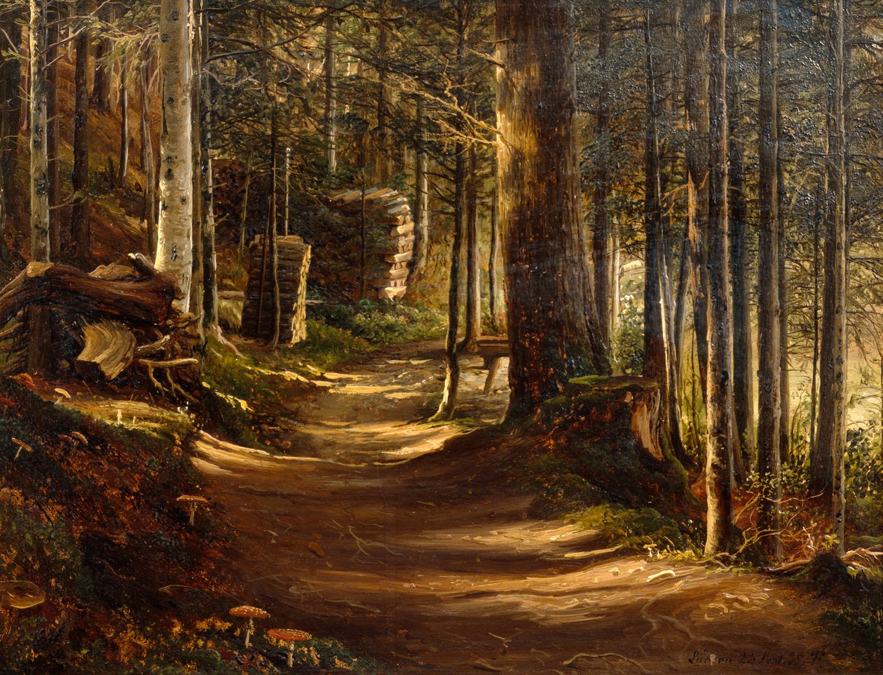 Carretera en bosque de coníferas de Thomas Fearnley