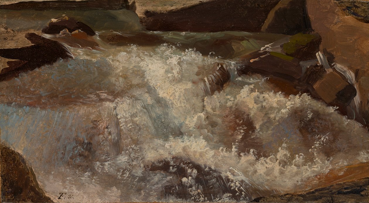 Aguas bravas. Estudio de la naturaleza de Thomas Fearnley