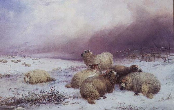 Paisaje invernal con ovejas de Thomas Francis Wainewright