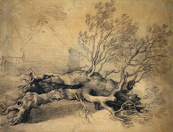 Un Árbol Caído con Edificios de Granja al Fondo de Thomas Gainsborough