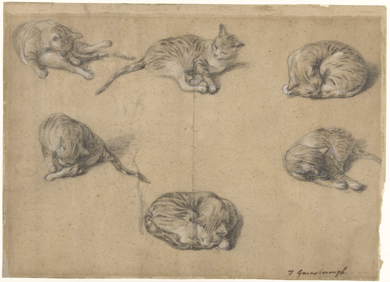 Seis estudios de un gato de Thomas Gainsborough