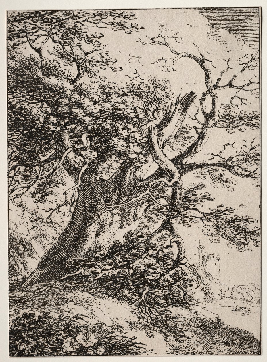 Especímenes de Poliautografía: Paisaje con un roble, 1803 de Thomas Hearne