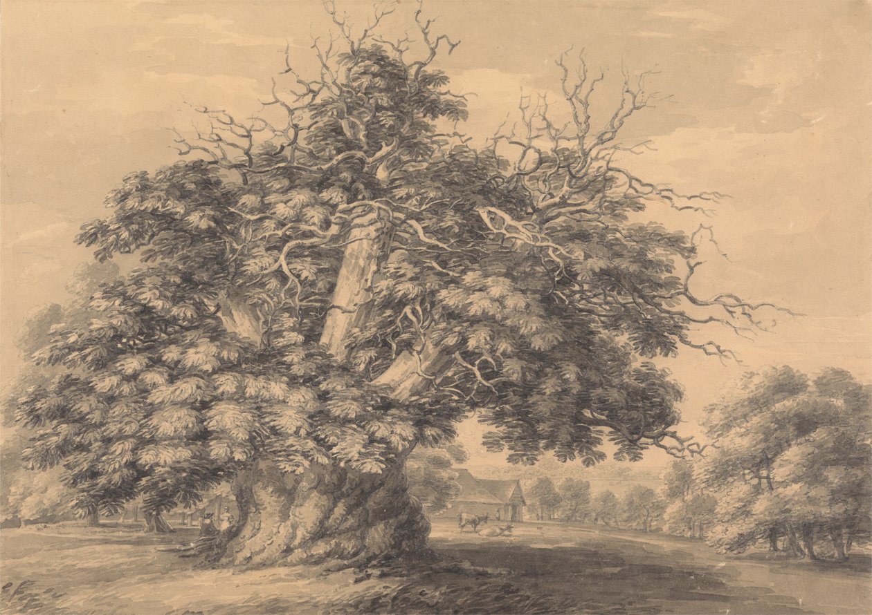 El castaño de Little Wymondley, Hertfordshire de Thomas Hearne