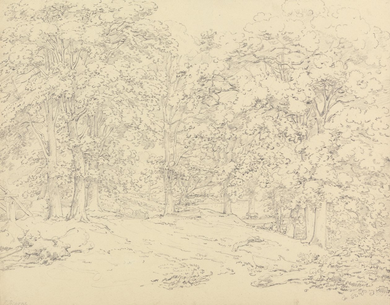 Árboles en Ashtead Park, Surrey de Thomas Hearne