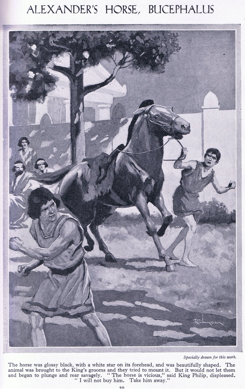 El caballo de Alejandro, Bucéfalo: el caballo era negro brillante con una estrella blanca en la frente, c.1950 (litografía) de Thomas Heath Robinson