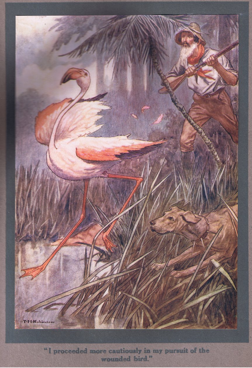 Procedí con más cautela en mi persecución del pájaro herido (litografía en color) de Thomas Heath Robinson